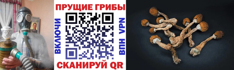 продажа наркотиков Узловая Галлюциногенные грибы мухоморы
